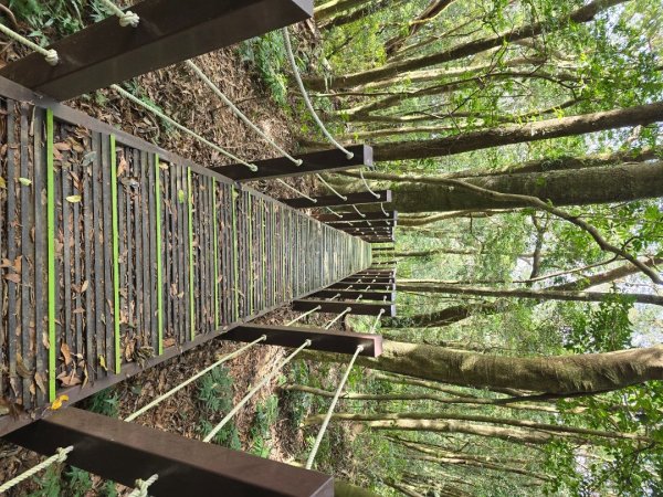 馬那邦山之雲海／雲瀑／楓紅／太陽琉璃光2668305