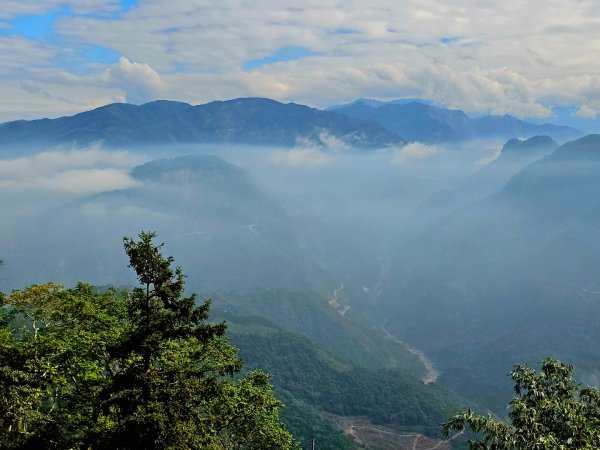 挑筍古道(大尖山、後棟仔山步道)--(雲林)臺灣百大必訪步道2955759
