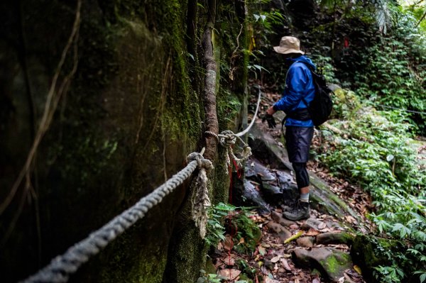 新竹石牛山步道｜小百岳2756516