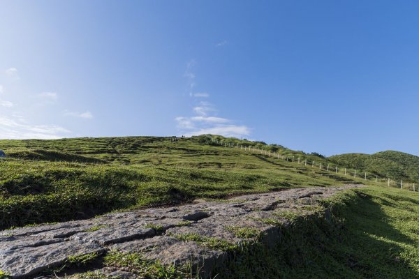 擎天崗.金包里大道(北段).日人路1086381