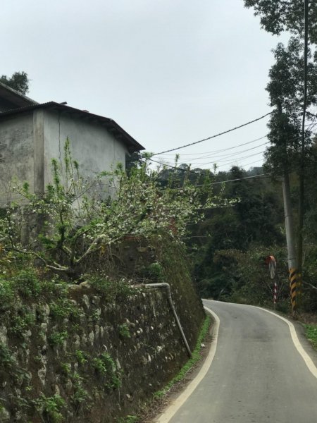 獅頭山、猿山、獅尾山三連走525972