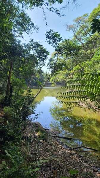 2023-11-19 楓林橋-溪山里山-甜水鴛鴦湖-帕米爾公園-聖人橋O型2352637