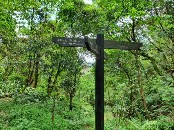 太極嶺，五城山，將軍嶺，文筆山，鶯歌石，彰埔坑山，牛灶坑山，龜公山，孫龍步道，二鬮山，土城桐花公園1654095