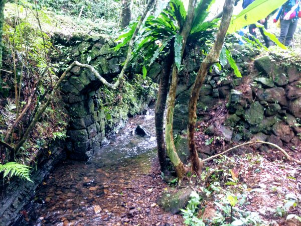 淡蘭古道中路【崩山坑-石空段】640677