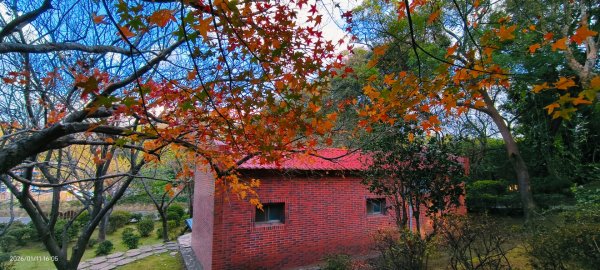 #花卉試驗中心 #永公路500巷 #平菁街42巷 #原住民公園 #士林官邸 1/42980397