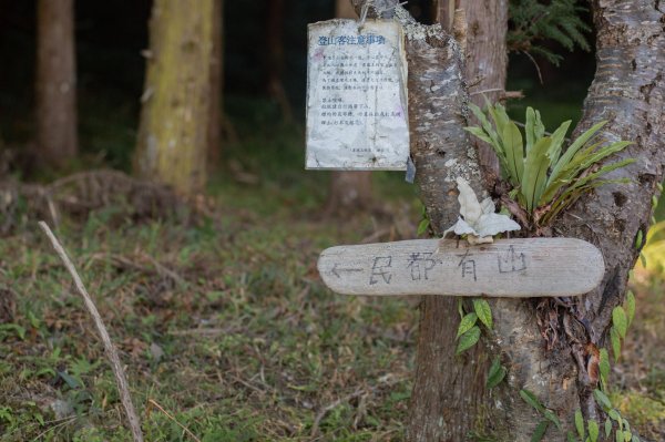 一抹雲霧的憂傷-民都有山 & 張學良故居1549145