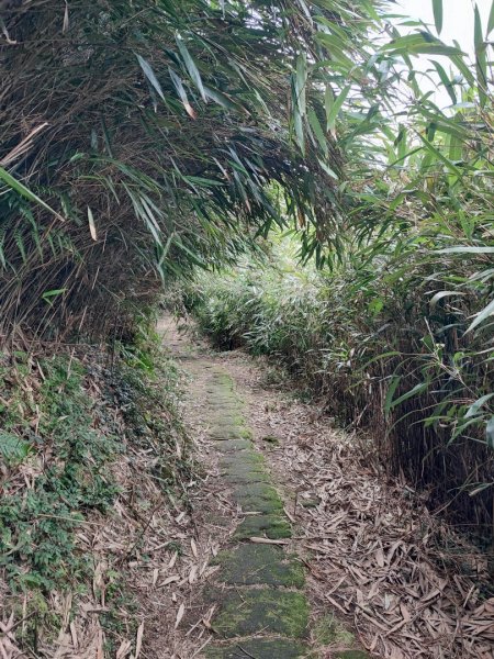 環七星山人車分道步道-百拉卡公路入口至冷水坑段 - 走遍陽明山尋寶任務2255049