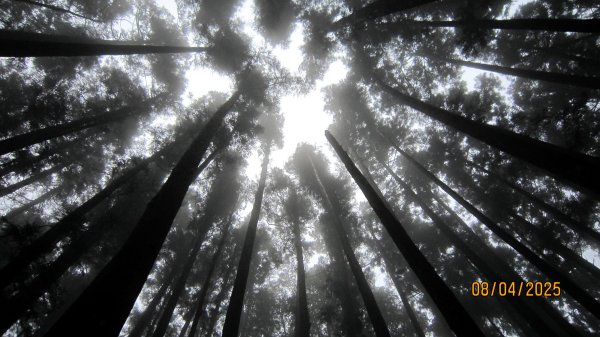 【油羅山/露營】 仙境舒活健走，雲端徜徉野趣！2887929