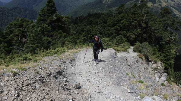 奇萊主山登山健行趣(百岳20號)2289921