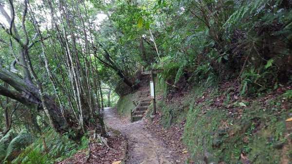平溪  望古瀑布步道  猴硐貓村 運煤遺址。搭火車去旅行  最小的火車站 被人們忽略的秘境 望古瀑布2186087