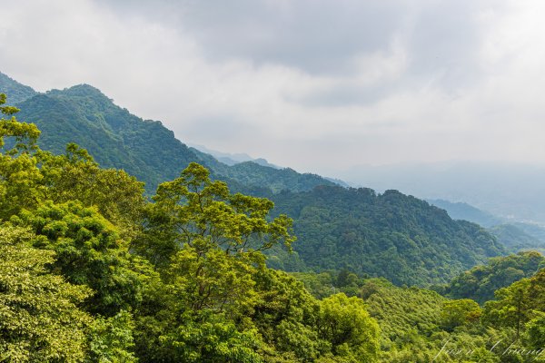 [苗栗]仙山2506014