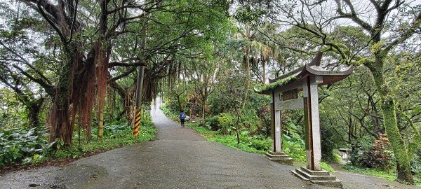 2026/03/01-紅淡山步道3010054