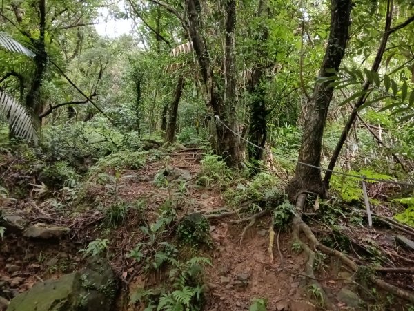 頭城鎮石城車站+隆嶺越嶺古道+隆嶺溪畔古道+福隆車站3002277