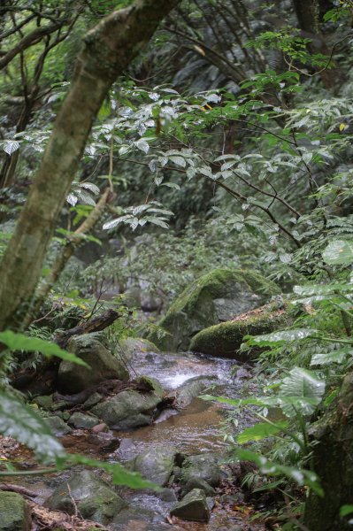 台北秘境之旅（三板橋-大屯溪古道-小觀音山西北峰）1789602