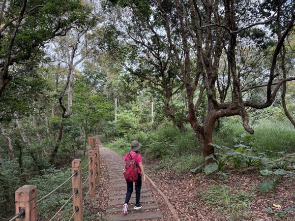 挑水古道附近古道串聯+藤山步道202505032784337