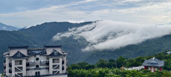 #雲瀑 #藍腹鷴 8/113101502