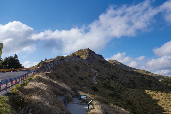 石門山金黃草原封面