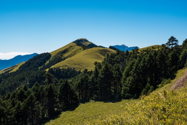 奇萊南峰能高越嶺古道之美524799