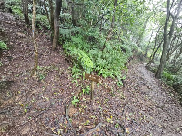 2025臺北大縱走第四段：風櫃口至中華科技大學2973485