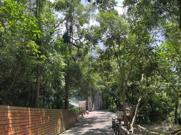 [百山百鳥尋旅-03/15] 2025_0817 虎形山公園步道2863116