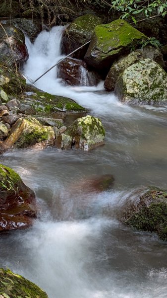 114.04.27草山觀瀑吊橋-紫明溪步道之旅2771761