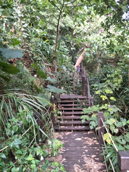 挑物古道(挑夫古道1490873