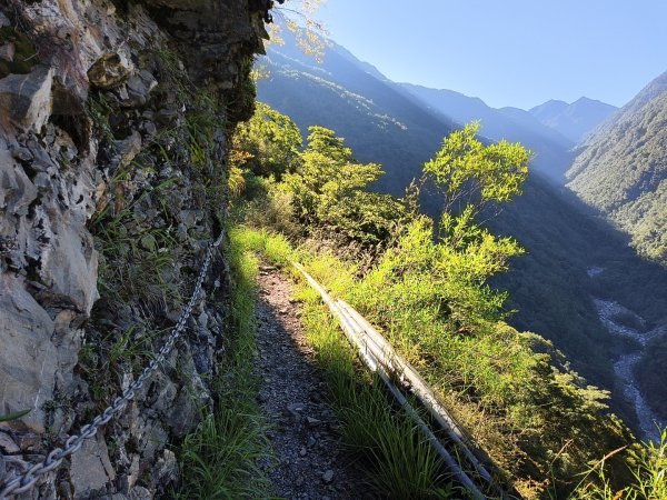 [玉山尋寶任務-07/12] 2025_0824 八通關雲龍瀑布步道2870598