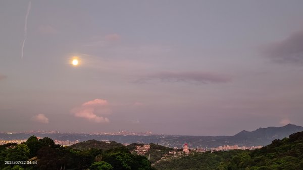 雲山水花鳥蝶 - 天龍國阿伯的日常7/18 & 21、22、292556641