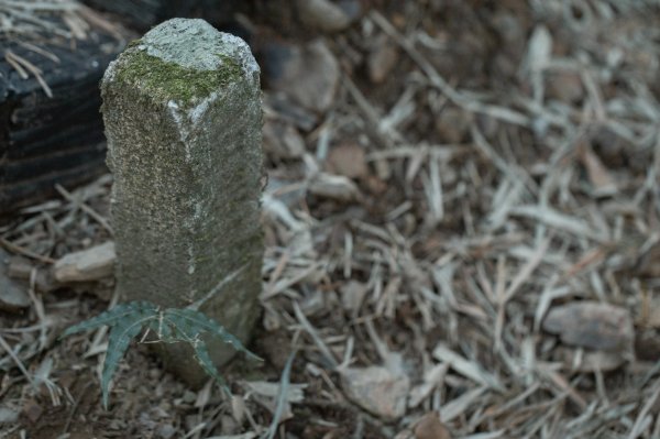 枕頭山古砲台歷史古道O型（含薑母島）2948456