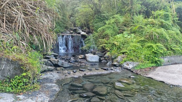 20250420古魯古道-大元山-大元國小2767381