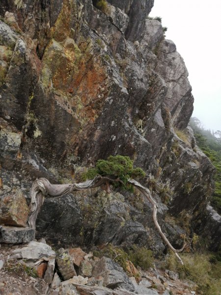 [百岳]武陵四之二秀~池有山、品田山646870