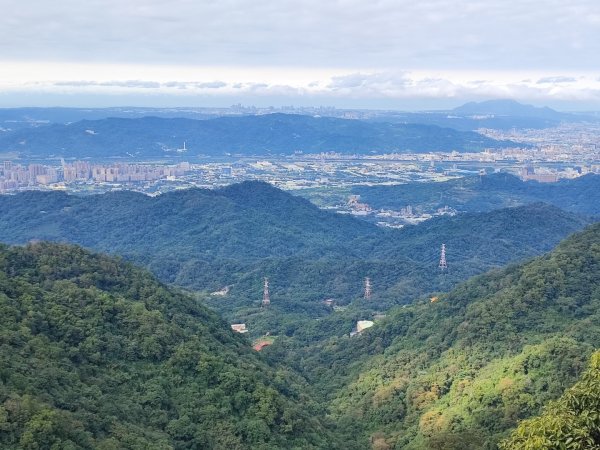 三峽白雞三山2412014