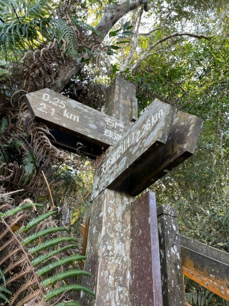 馬那邦山賞楓趣1549560