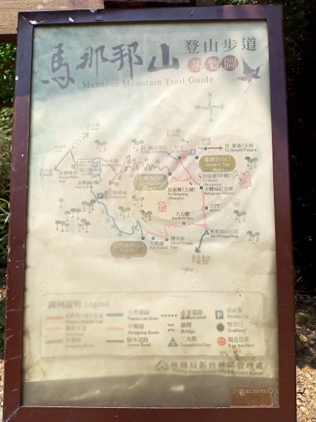 【苗栗-臺灣百大必訪步道】泰雅族抗日的馬那邦山登山步道1347683
