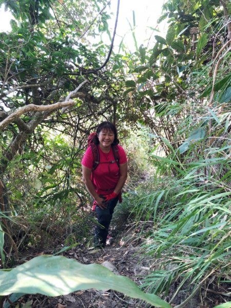 三腳南山、難山傻傻分不清楚1241028