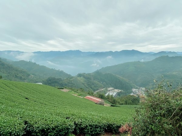 雲嘉五連峰1530954