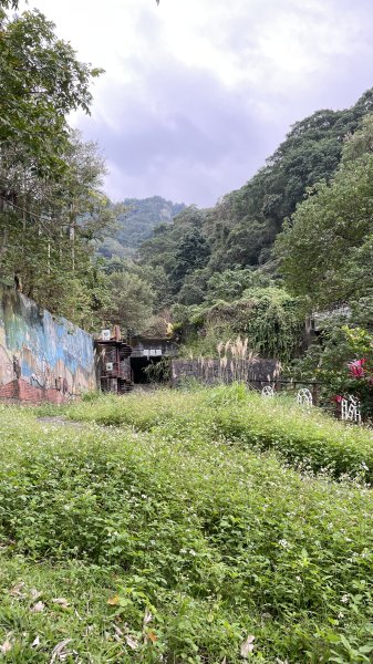 台北縱走第六段之不完整版～ 中華科技大學至和興碳坑2391255
