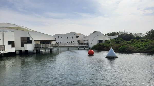 《台南》滄海桑田｜台江內海與黑面琵鷺野生動物保護區2675455