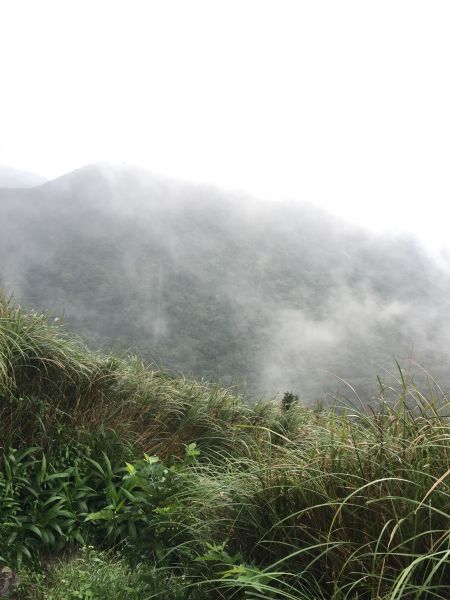 面天山 向天山401123