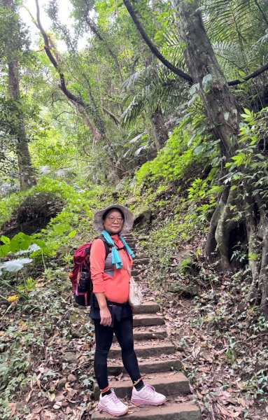 鳴鳳山古道群走鳴鳳山 三湖山吃仙草冰2923299