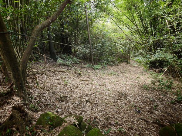 [淡蘭古道] 2026_0531 北路第四段_金字碑古道(上)-牡丹段3071018