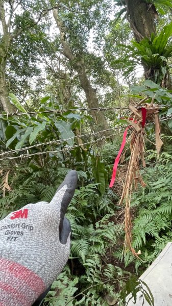 銀河洞越嶺貓空-新高麗坑山-銀獅縱走-猴山岳群峰+三條魚縱走2998277
