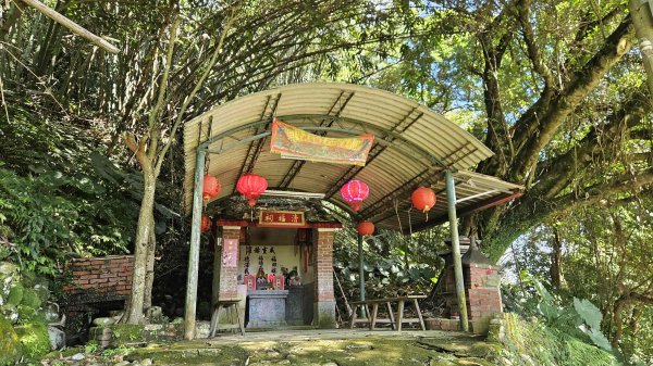 20251229龍潭大池自行車道-三林自行車道-名人棒球堂飯店-石門大草坪-林埤古道-石門水庫2974596