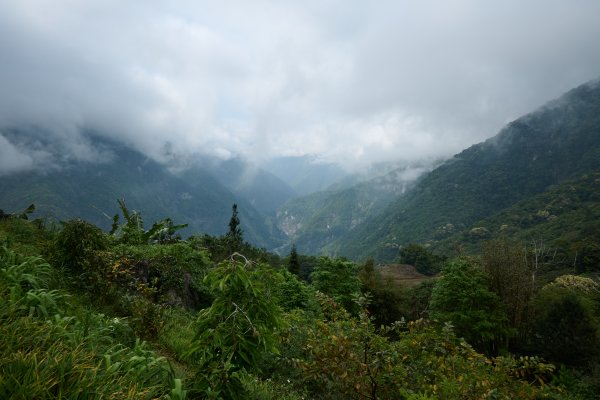 兩日立霧山觀景台(日出行程)2114818