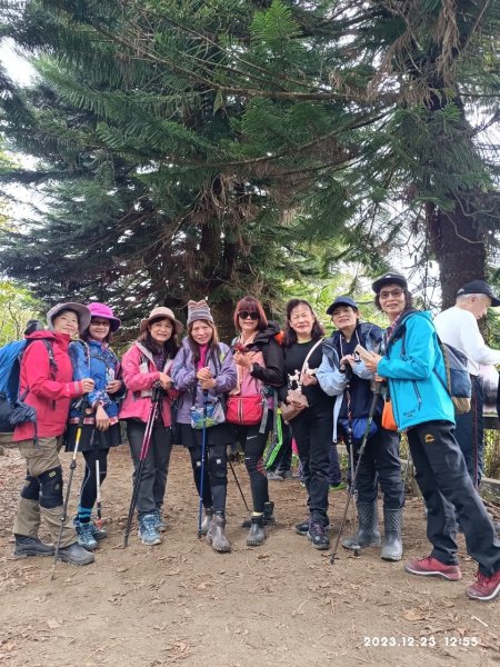 四訪苗栗的花果山-小百岳#037馬那邦山、雪霸國家公園管理處【小百岳集起來、苗栗-臺灣百大必訪步道】2394267