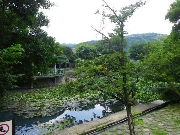 天母水管路步道1809147