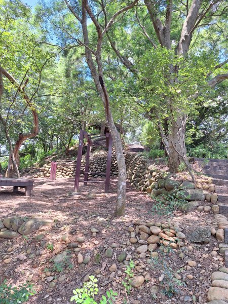 田中麒麟山森林步道202508172862023