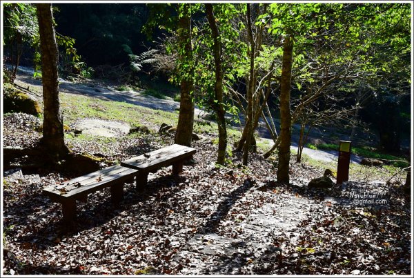 嘉義阿里山鄉里佳巨石板步道602007