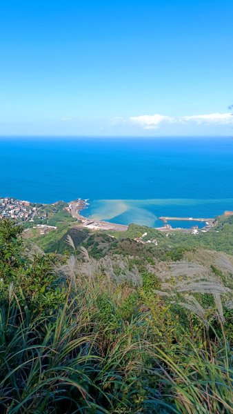 找一個晴天去爬山~金瓜石芒花之旅2962422