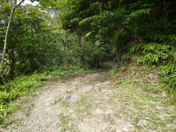 [淡蘭古道] 2026_0524 南路第五段_跑馬古道(下)-玉龍居3070183